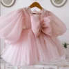 Pink Children’s Dress Girl Birthday Party High-grade Princess Dress Flower Design fairy Dreamy Western Style Tutu Skirt